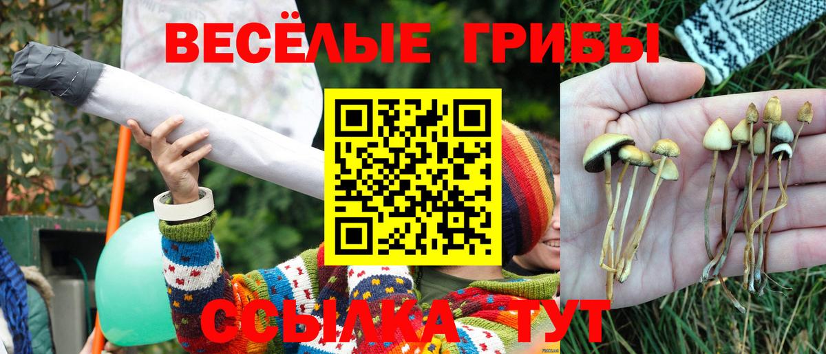 Галлюциногенные грибы GOLDEN TEACHER Михайловск