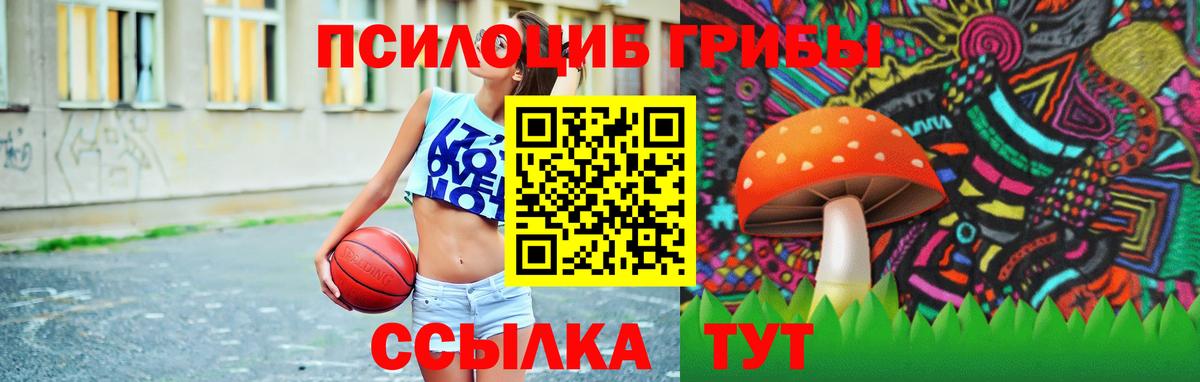 Галлюциногенные грибы GOLDEN TEACHER  Вход с VPN  где купить наркоту  Михайловск 